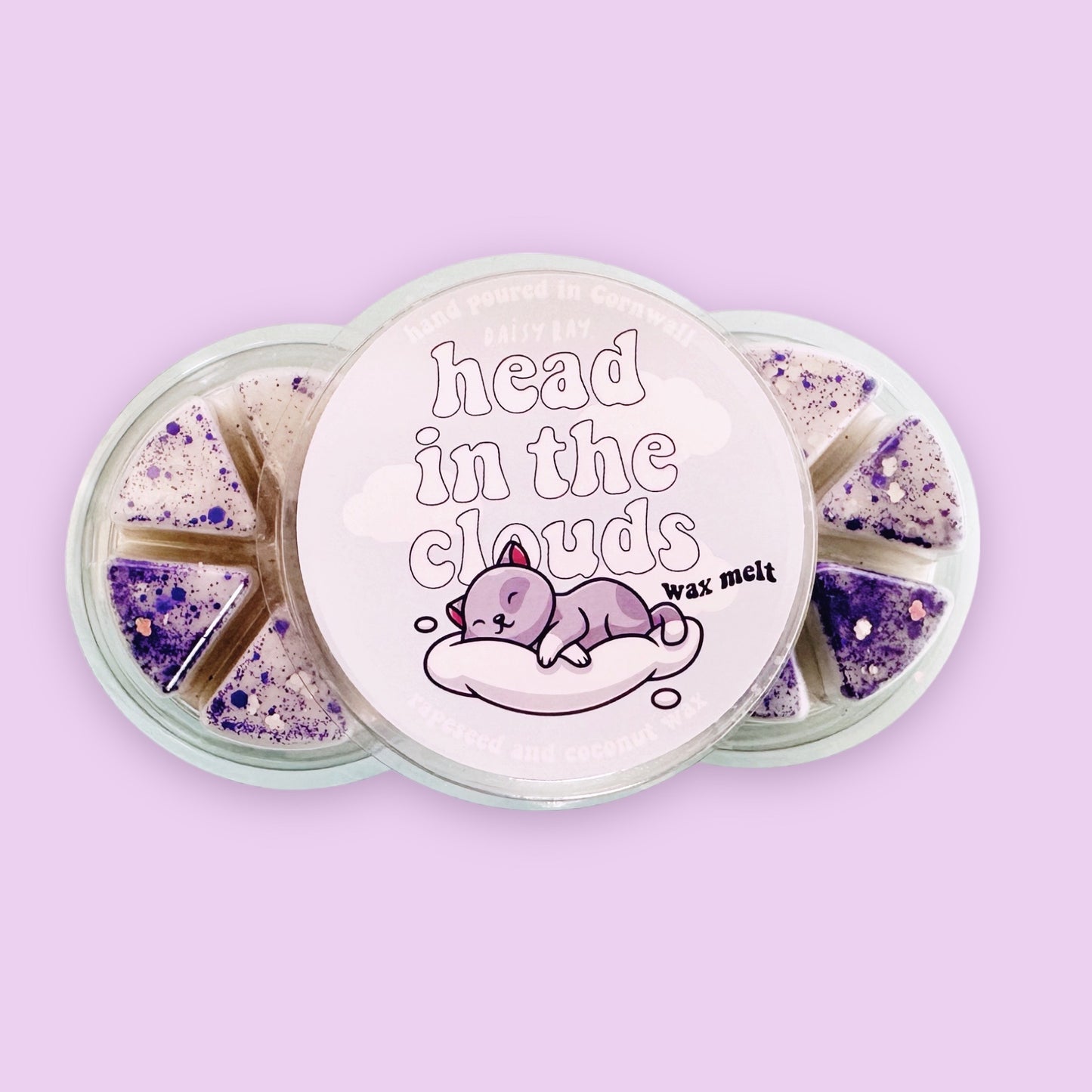 Head In The Cloud's - Wax Melt Pot - Daisy Ray