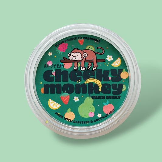 Cheeky Monkey - Wax Melt Pot