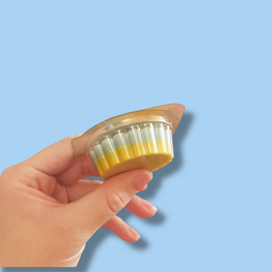 Ohana - Mini Tart Wax Melt